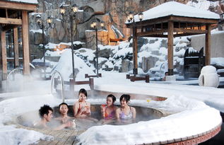 凤凰假期旅行社元旦 春节精品旅游线路推荐