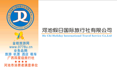 河池假日国际旅行社专业名片模板免费下载