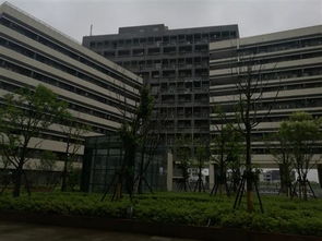 假日里的坚守 工厂不停产，生活与挑战并存